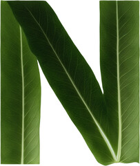 Green leaf typography text design uppercase alphabet N
