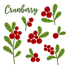 Cranberry set. Autumn red wild berries with green leaves. Cartoon vector illustration on white background.
