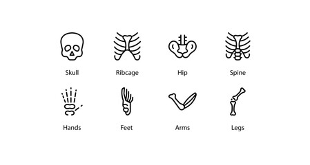 Human Bones icons set, vector stock illustration.