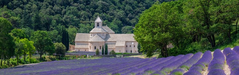 Senanque Abbey Gordes Provence Lavender fields, Notre-Dame de Senanque, blooming purple-blue...