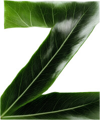 Green leaf typography text design uppercase alphabet Z