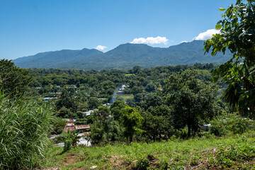 View of the Mountains and Lots of Vegetation