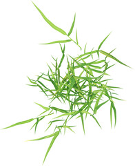 Naklejka premium Top view of wild grass