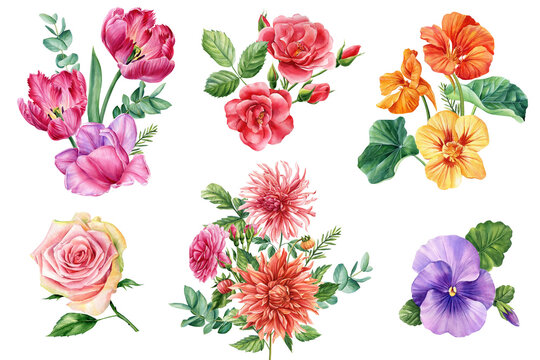 Beautiful flowers set isolated white background. Hand-drawn in watercolor, Vivid bouquet of colorful flowers. 