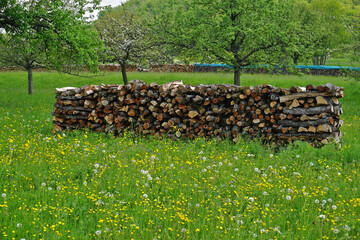 Brennholzstapel in blühender Wiese