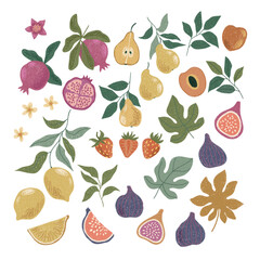 Vector illustration with tropical flowers and palm leaves, clipart.