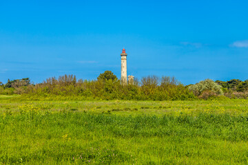 Fototapeta na wymiar Countryside and Phare des Baleines lighthouse in Saint-Clément-des-Baleines, France