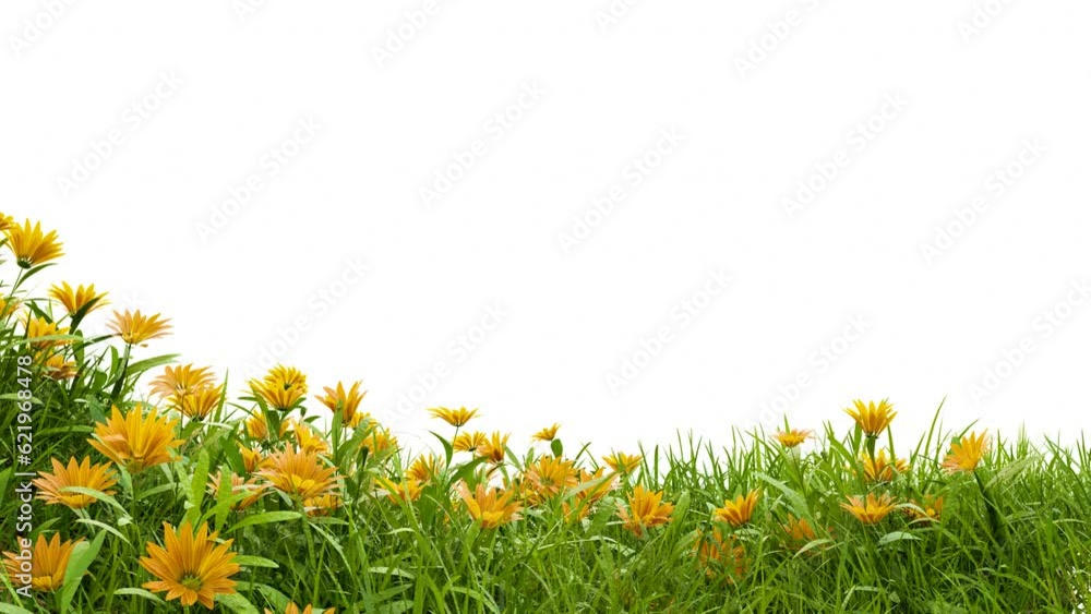 Aufkleber medow field with flower footage on white background with clipping path, 3d illustration rendering
