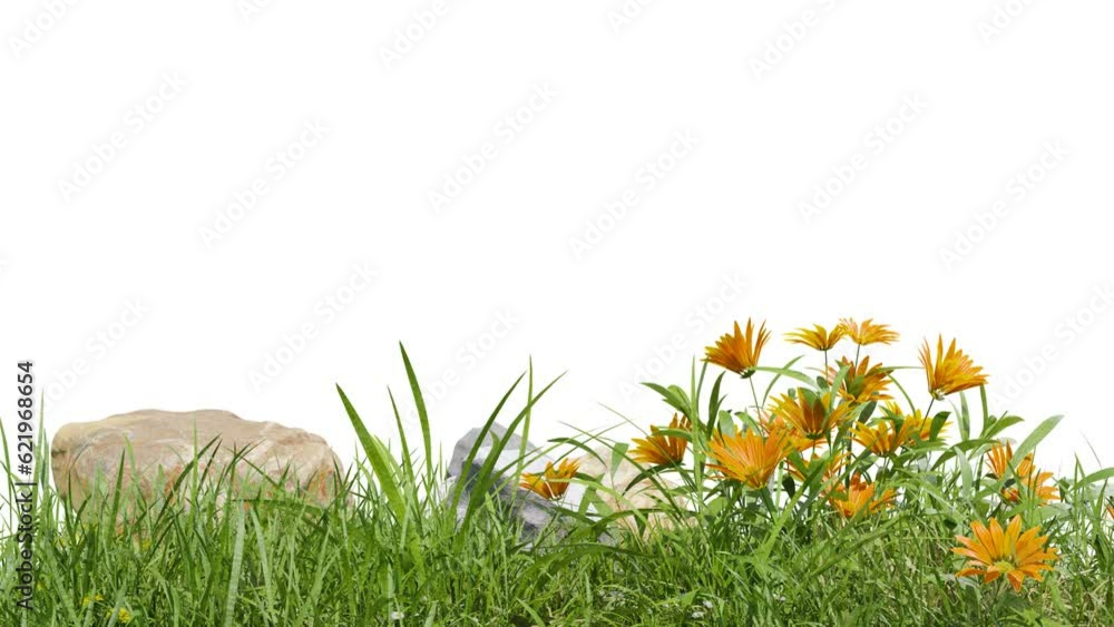 Poster medow field with flower footage on white background with clipping path, 3d illustration rendering