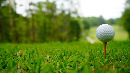 Golf ball on green grass in the evening golf course with sunshine background.