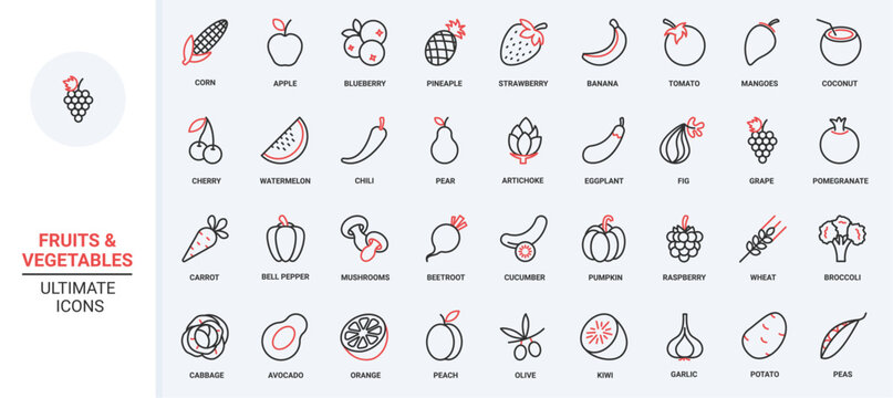 Fruit and vegetable red black thin line icons set vector illustration. Organic healthy farm food for healthy nutrition, fresh apple and orange, banana and cherry berry, carrot and potato for cooking.