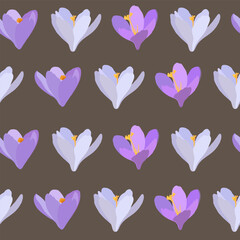 Collection of crocuses and saffrons. A set of spring purple, yellow and white crocuses. Vector illustration of beautiful multicolored flowers