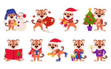 Set of illustrations with a cute tiger in the winter season. Vector graphic.