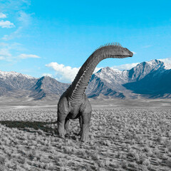 Obraz premium alamosaurus is looking for the others in the plains and mountains