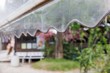 transparent awning of the shop with garden view. plastic roof.