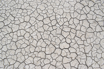 Natural light gray cracked texture background of salty soil global warming ecology disaster