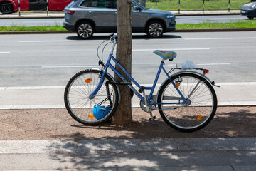 Bicycle tied to a tree near the road