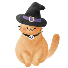 cat wears witch hat halloween’s day