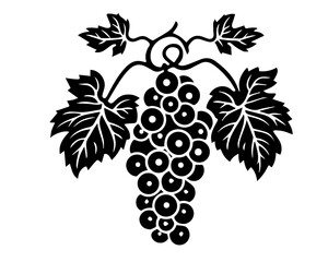 Obraz premium Bunch of grapes wine Greece Italy botany paternal print tattoo