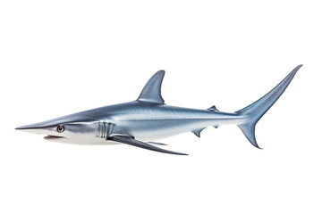 Obraz premium Thresher shark Alopias , Transparent background. generative AI
