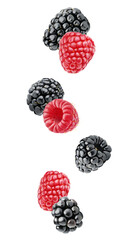 Levitating blackberries and raspberries, cut out no background