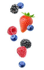 Levitating fresh berries (blackberry, raspberry, blueberry and strawberry) cut out