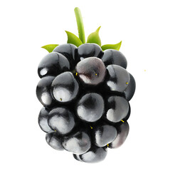 One blackberry
