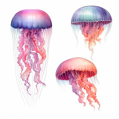 Fototapeta premium jellyfish set watercolor on a white background created with Generative Ai