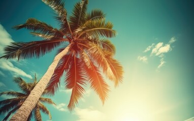 Fototapeta na wymiar Coconut palm tree under blue sky. Vintage background. Travel card, Generative AI