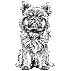 Brussels Griffon dog breed line drawing, clip art animal hand drawing vector black and white sketch drawing