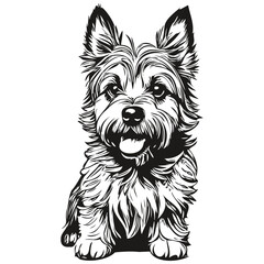 Cairn Terrier dog cartoon face ink portrait, black and white sketch drawing, tshirt print sketch drawing