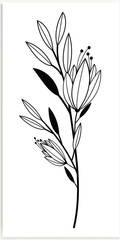 Floral branches and minimalist flowers for logo or tattoo. Hand-drawn line wedding herb, elegant leaves.