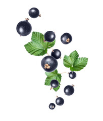 Ripe black currants with leaves in the air on a white background