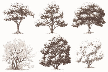 collection of trees set of trees vector