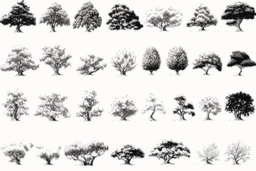 Fototapeta premium set of silhouettes of trees
