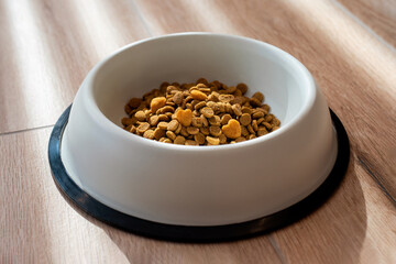 Cat food in a bowl close up