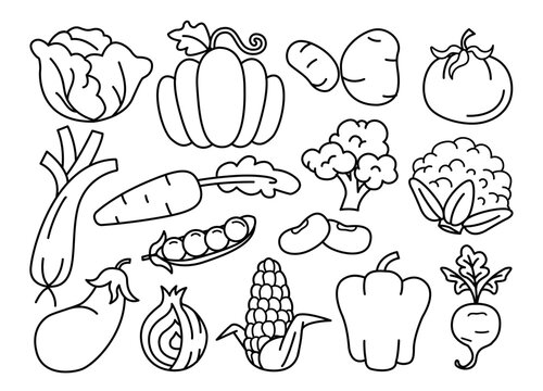 vector icons of vegetables, set of food line art of vegetables