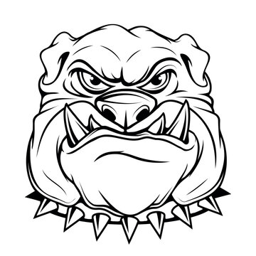 Bulldog. Vector illustration of a sketch popular animal cartoon. Angry animal. domestic pet