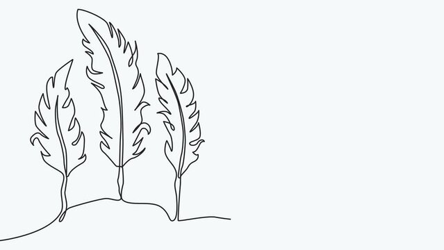 Self-drawing animation of continuous drawing of one line of feathers