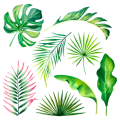 Afwasbaar Fotobehang Tropische bladeren A set of monstera leaves, palm branches, leaves. Watercolor illustration on a white background. Tropical plants. Exotic nature.