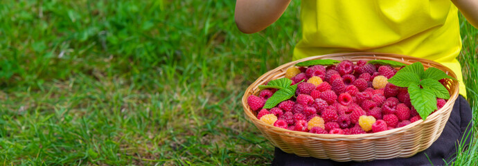 a child eats raspberries, raspberries in a bowl.