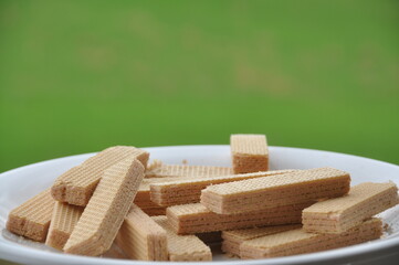 biscoito alimento em prato com espaço para texto em fundo verde 
