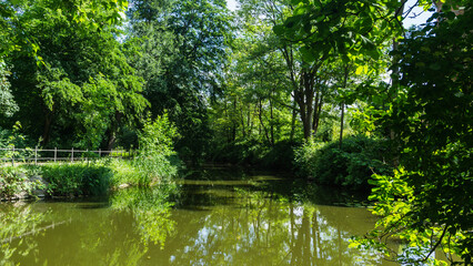 Fototapeta na wymiar Graben im Stadtpark Wismar