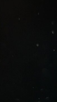 Vertical video. Flying dust cinematic animation background