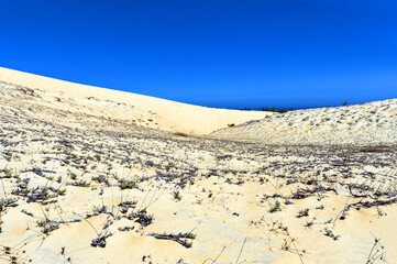 Beautiful Landscape Desert, White Sand Dunes of Mui Ne, Vietnam