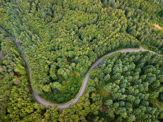 top down view of the winding road going through the green forest