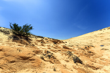 Beautiful Landscape Desert, White Sand Dunes of Mui Ne, Vietnam