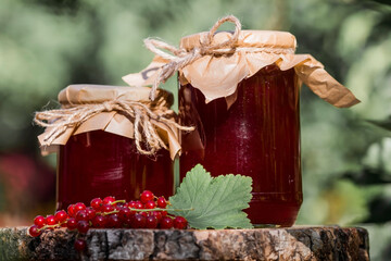 Homemade healthy jelly, red currant jam on the background of a currant bush. Preparation of cans....
