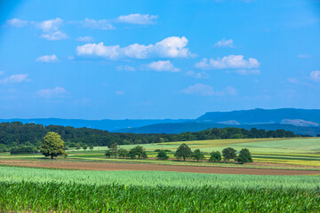 trees and fields with panoramic view to the swabian alb in germany