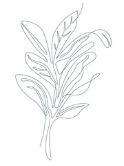 Plant. Drawing with one continuous line. Vector illustration